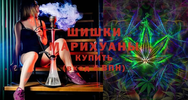 шишки Пролетарск