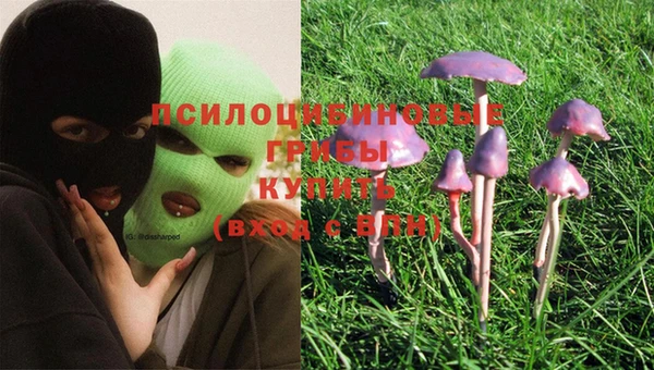 кокс Вяземский