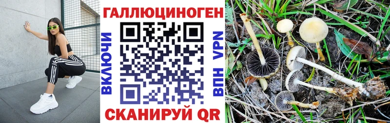 Псилоцибиновые грибы GOLDEN TEACHER Павлово